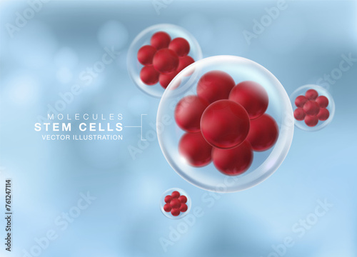 Living cells that are embryonic stem cells. Realistic vector illustration.