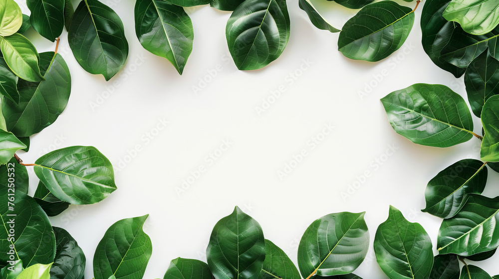 Frame of Fresh Green Leaves on White Background with Copy Space