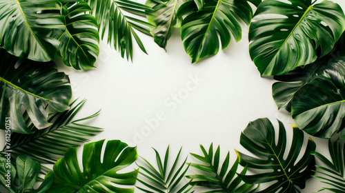 Vibrant Tropical Leaves Border on White Background with Space for Text
