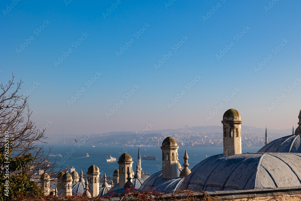 Obraz premium Istanbul view from Suleymaniye Mosque's garden