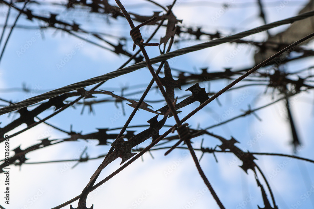 Barbed wire close-up against the sky. Barbed wire close-up against the sky.