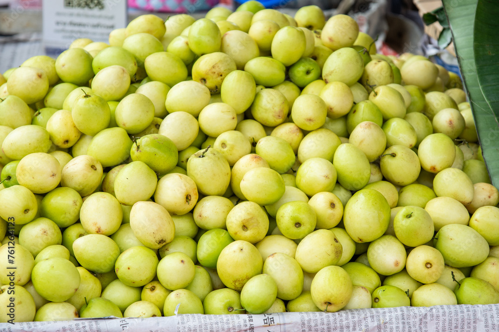 Jujube fresh milk green color sweet and crispy in the market Jujube fresh milk green color sweet and crispy in the market