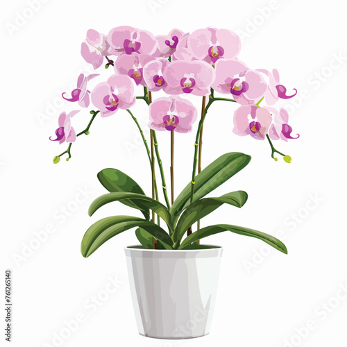 Potted Pink Orchids Clipart 