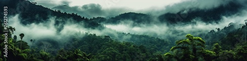 Tropical Rainforest Landscape Panorama © kilimanjaro 