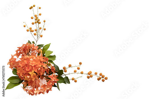 orange flowers rubiaceae local flora of asia arrangement flat lay postcard style 