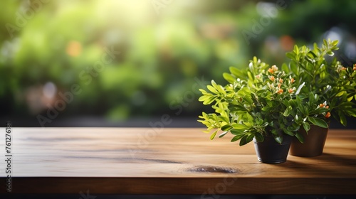 wooden table with green plant on blurred background of trees