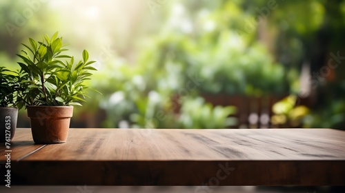 wooden table with green plant on blurred background of trees