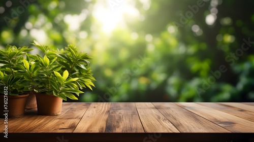 wooden table with green plant on blurred background of trees