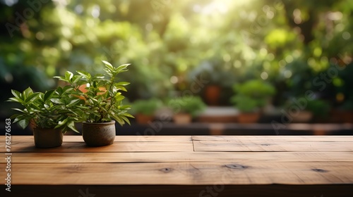 wooden table with green plant on blurred background of trees