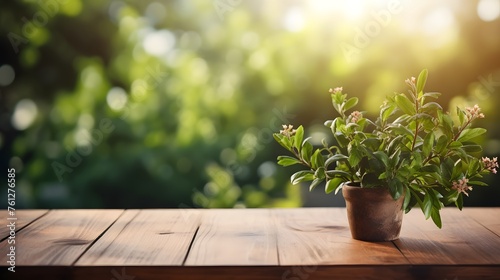 wooden table with green plant on blurred background of trees