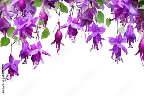 branches lilac fuchsia flower is isolated on a Transparent background. Generative AI
