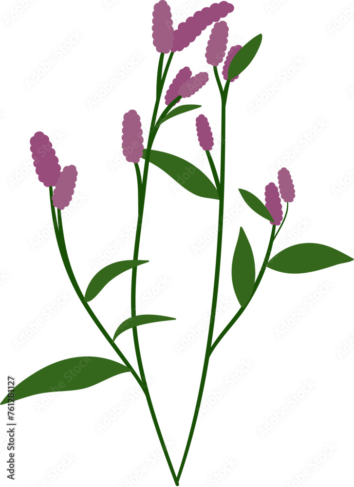 smartweeds clipart smartweeds clipart