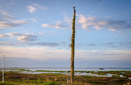 The Coast at Chincoteague National Wildlife Refuge photo