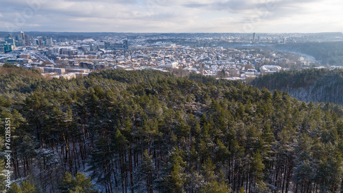 Drone photography of a public park forest and city landscape on horizon during winter day