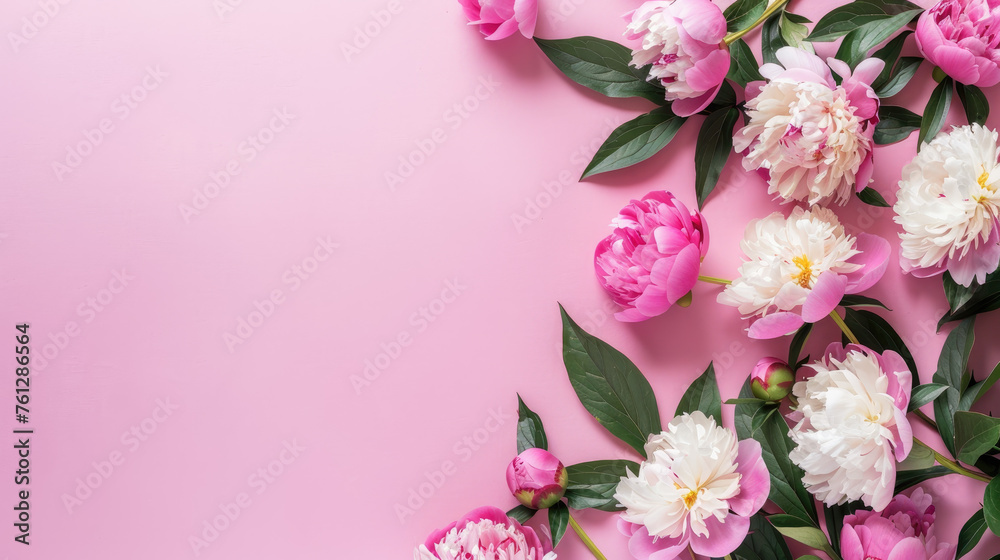 Beautiful peonies on pink background. Flat lay with space for text. Top view. A card for Easter, Women's Day, Mother's Day, Valentine's Day, Birthday.