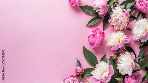 Beautiful peonies on pink background. Flat lay with space for text. Top view. A card for Easter, Women's Day, Mother's Day, Valentine's Day, Birthday. © Julia G art