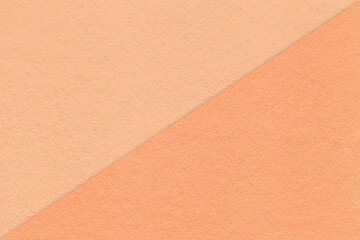 Wandcirkels Pantone 2024 Peach Fuzz Kraftpapier textuur in perzik en koraal  © nikol85