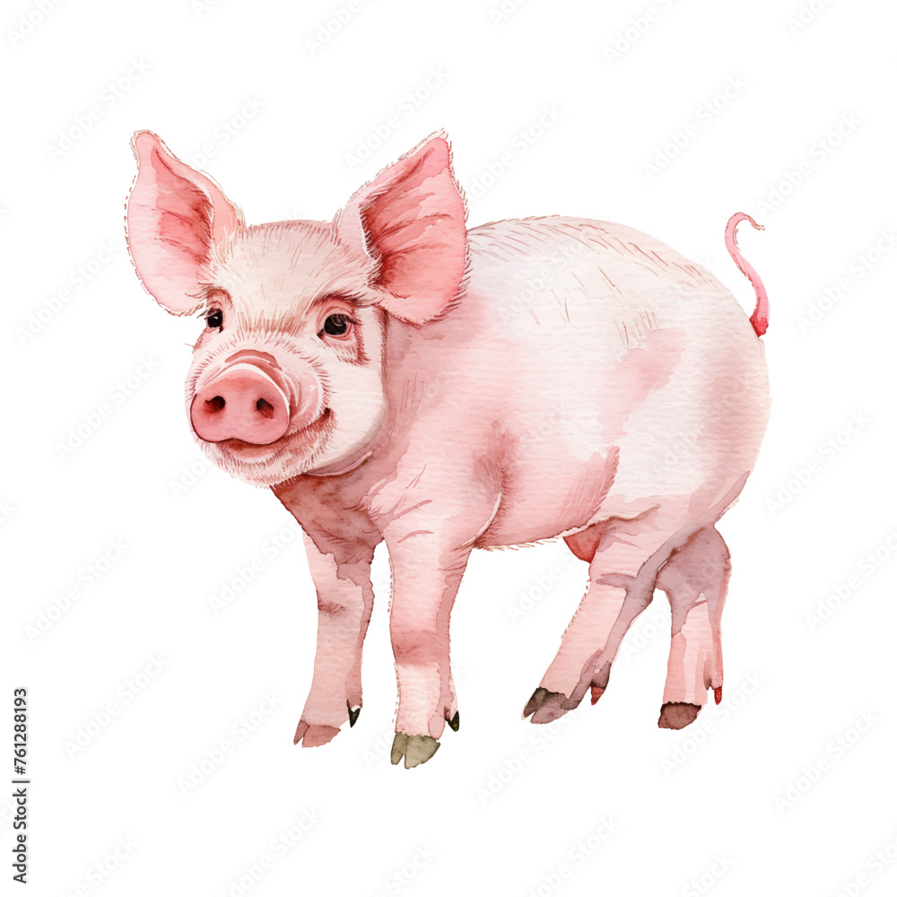piglet watercolor good quality and good design piglet watercolor good quality and good design