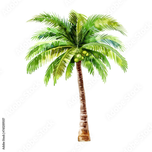 coconut tree watercolor good quality and good design