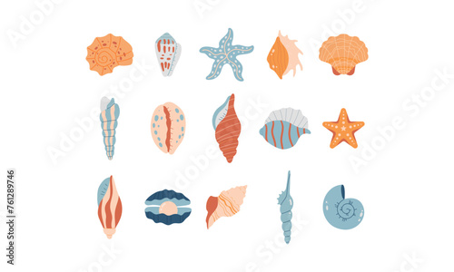Vector set of 15 illustrations of sea and ocean shells © Maryna Darevskaya