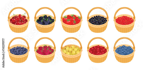 Fresh berry in baskets. Big set of vector cartoon illustrations of different berries. 