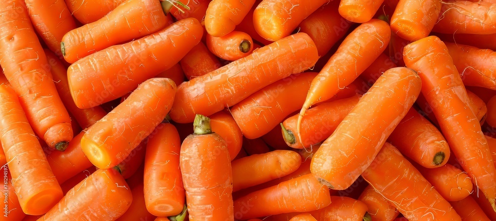 Vivid texture of fresh large organic carrots as a vibrant background for natural food concepts Vivid texture of fresh large organic carrots as a vibrant background for natural food concepts