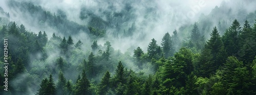 A panoramic view of the dense forest with misty clouds rising from its canopy © EnelEva