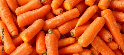 Vivid texture of fresh large organic carrots as a vibrant background for natural food concepts