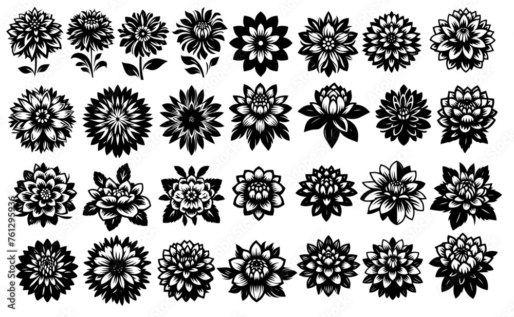 Stylised Single-Color Dahlia Illustration Collection