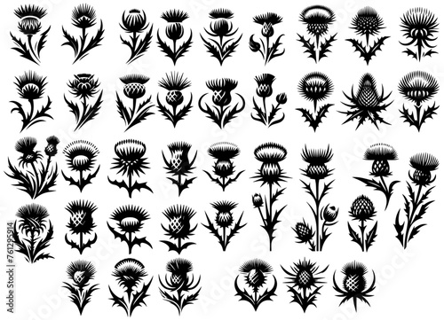 Stylised Single-Color Thistle Illustration Collection photo