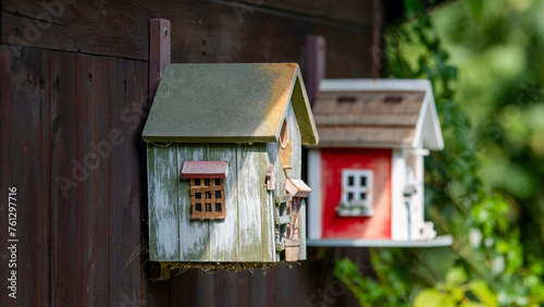 bird house