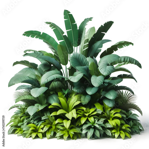 3d Green leaves of tropical plants bush floral