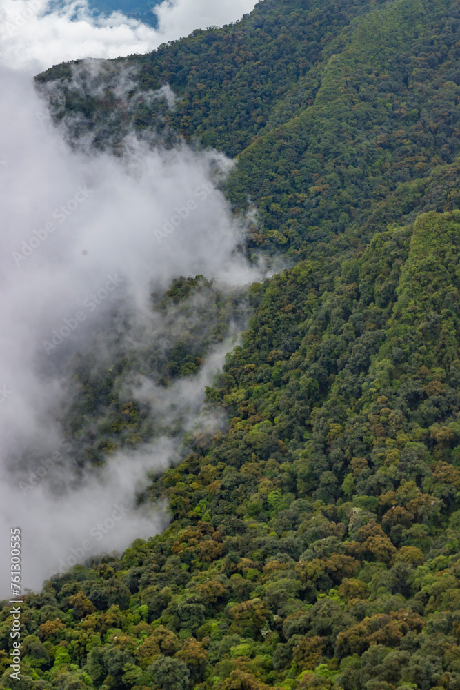 Yote-sa, Khuzama near dzukou valley is located at the border of the Indian states of Nagaland and Manipur. This valley is well known for its natural environment, seasonal flowers and flora and fauna.