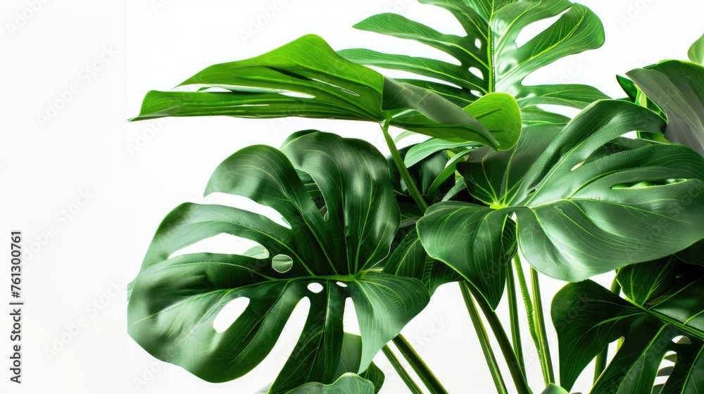 Foto Lush green leaves. Generative AI