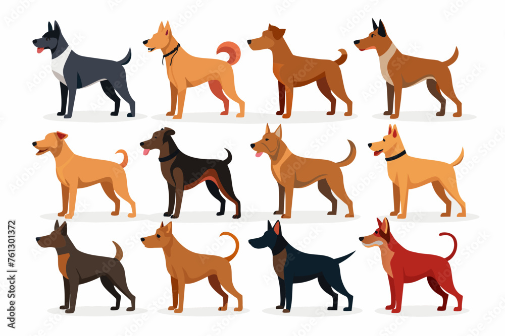  Various species dogs with different poses, vector silhouette illustration