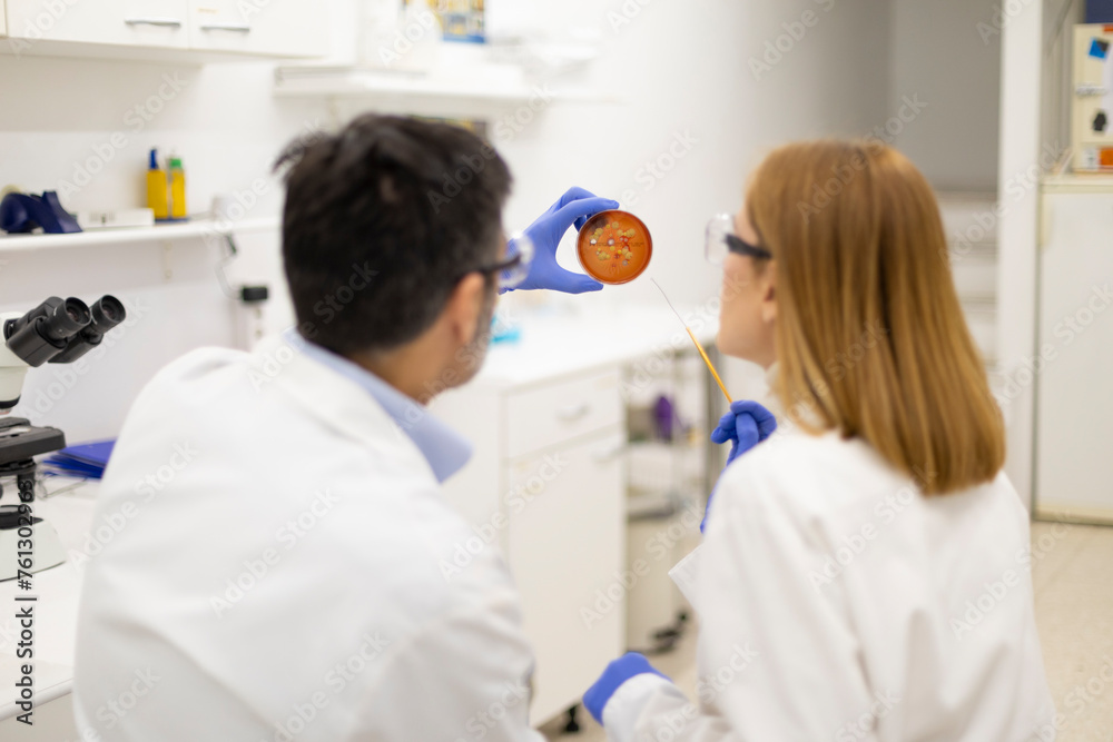 Researchers studying a petri dish in a pharmaceutical lab setting Researchers studying a petri dish in a pharmaceutical lab setting