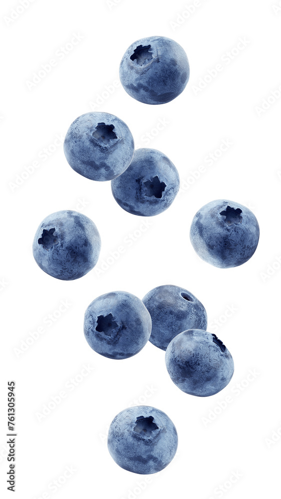 Falling Blueberry isolated on white background, full depth of field - obrazy, fototapety, plakaty 