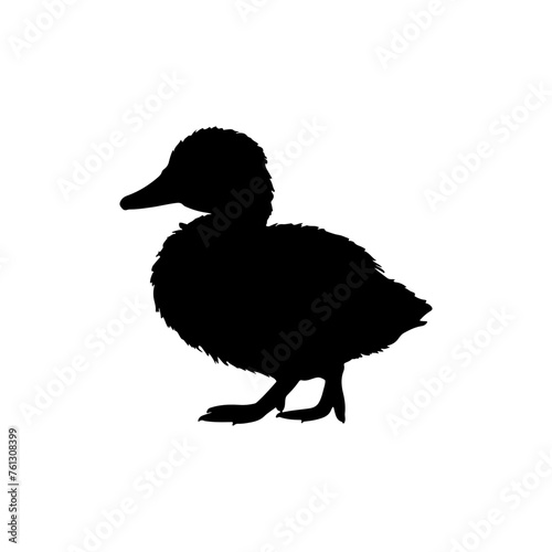 silhouette of a duckling 