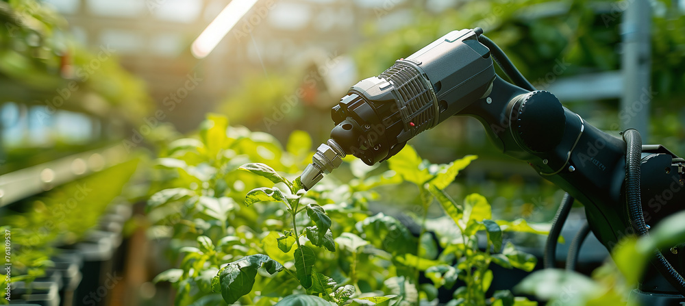 Smart agriculture, automated industrial robotic arm picking plants in greenhouse Smart agriculture, automated industrial robotic arm picking plants in greenhouse