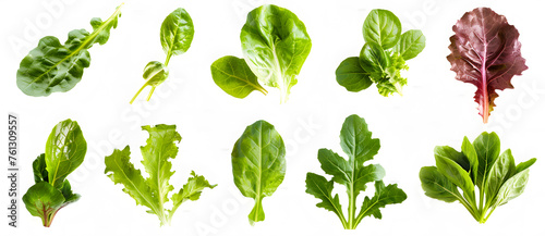 Various green salad leaves isolated on white background top view