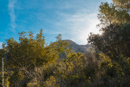 Mountain peaks and trees in the foreground. Spain, Busot. bright sunny day photo