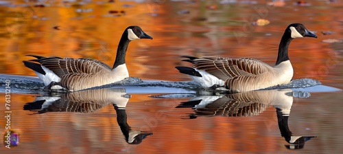 Vibrant geese joyfully swimming in a pristine pond with shimmering, crystal clear waters