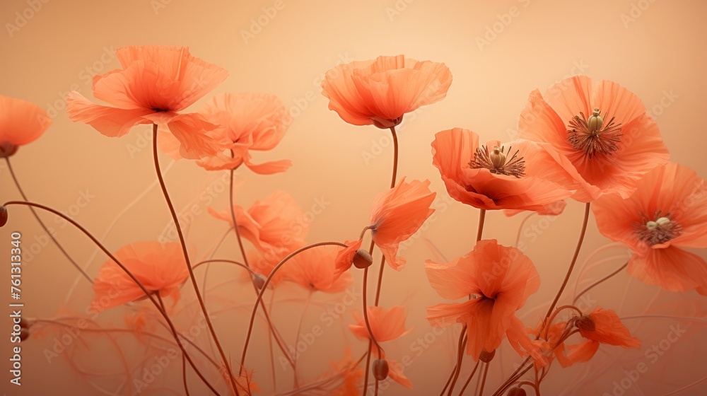 Ethereal art delicate poppies in soft red tones captured with double exposure lighting