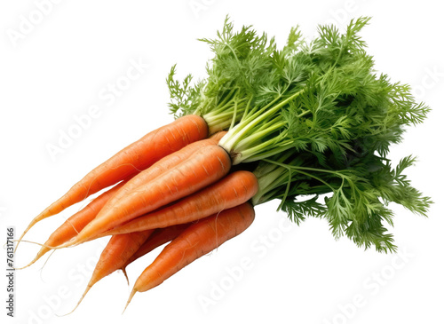A bunch of carrots are shown in a row. The carrots are all different sizes and are all green