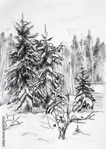 winter landscape with spruces