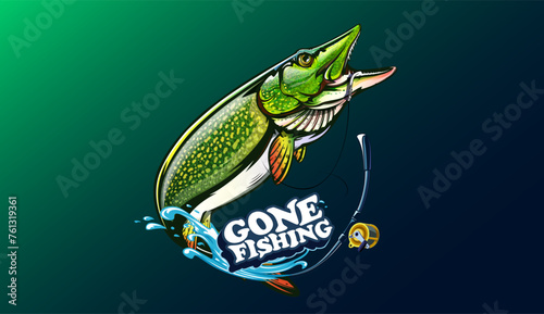 Pike fish fishing emblem. Isolated detailed pike vector logo. Handdrawn fishing theme.