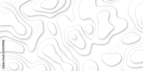 Abstract geometric layered curve line white background. 3d render, paper cut vector art background banner texture. multi layer cutout geometric patterns with smooth wavy layer. white background.   