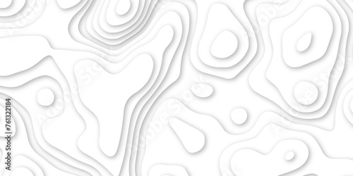 Abstract geometric layered curve line white background. 3d render, paper cut vector art background banner texture. multi layer cutout geometric patterns with smooth wavy layer. white background.   
