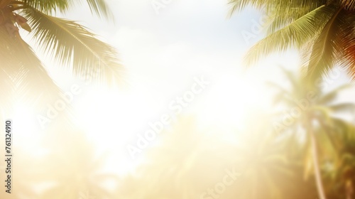 Golden sunlight filtering through palm leaves with sky backdrop © artem