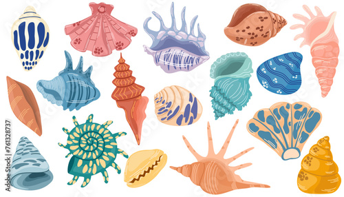 Sea shells set, mollusks, starfish. Seashells collection. Vector hand draw illustration isolated on white for stickers.